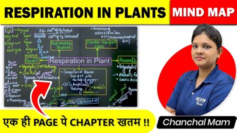 Respiration In Plants Class Neet Biology Mind Maps For Neet