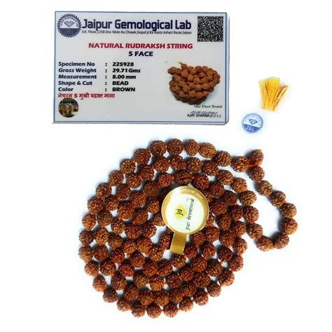 Rudraksha Mala Lab Certified With Certificate Buy Online