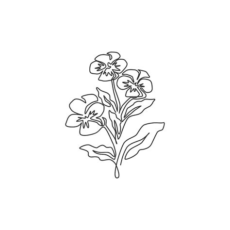 Premium Vector Single Continuous Line Drawing Beauty Ranunculus For