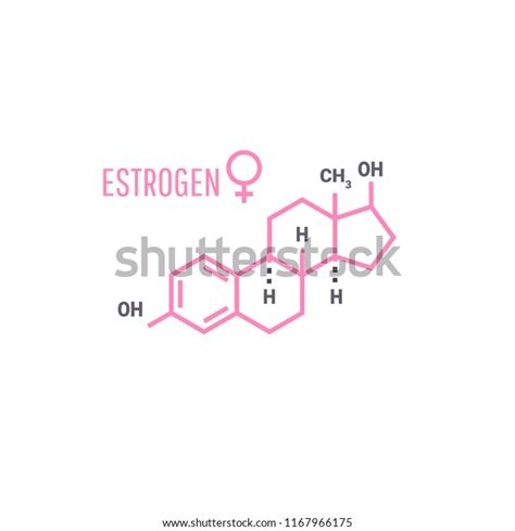 Sex Hormones Molecular Formula Estrogen Hormones Symbol