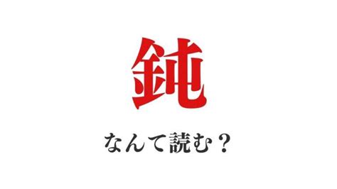 【使い方要注意！】「鈍」って何て読む？「どん」は正解。ではひらがな四文字で読むと何でしょうか？