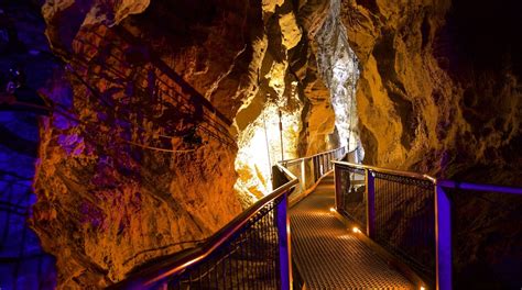 10 Top Things To Do In Waitomo Caves August 2024 Expedia