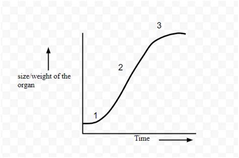 The Figure Of Sigmoid Growth Curve Given Below Label Segments 1 2 And 3