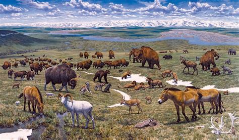 Pleistocene Animals