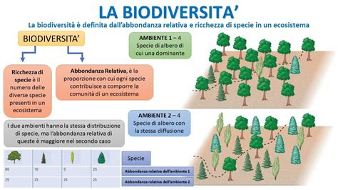 L IMPORTANZA DELLA BIODIVERSITA YouTube