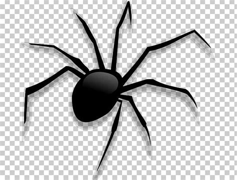 A Black And White Spider On A Transparent Background