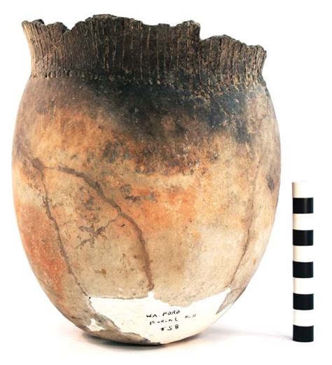 Incised Punctated Jar From Burial X 11 At The W A Ford Site 41tt2