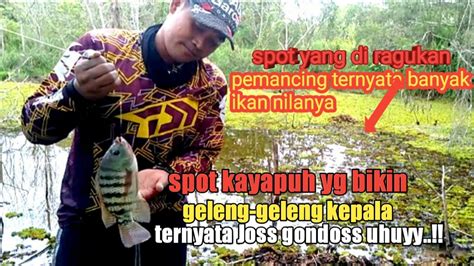 Rejeki Strike Bertubi Tubi Ikan Nila YouTube