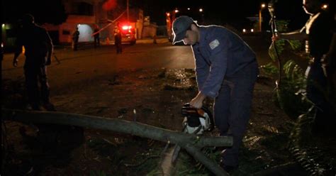 G Rajada De Vento Derruba Rvore Sobre Rede El Trica Em Bairro De