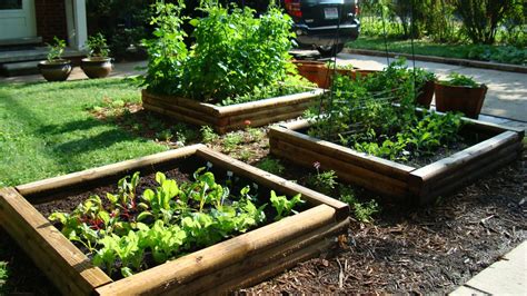 Vegetable Garden Design With Raised Beds All About Hobby