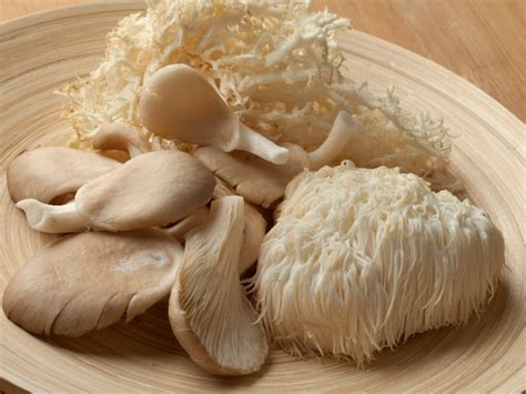 What Are Oyster Mushroom Substitute At Darrell Matthew Blog