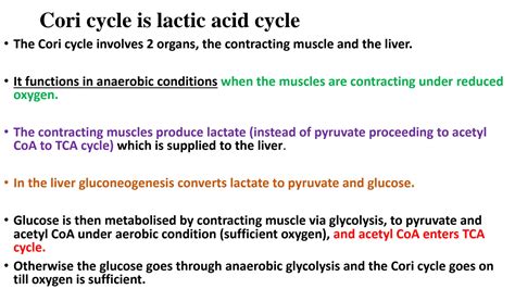 SOLUTION: Cori cycle - Studypool