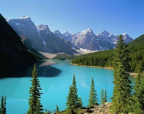 Cushion Of Moraine Lake Valley Of Ten Peaks