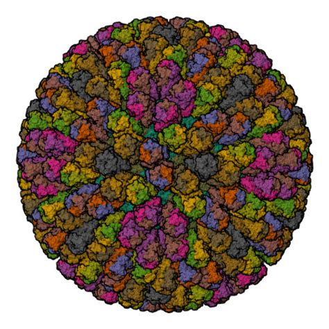 Rcsb Pdb Kz Crystal Structure Of The Rotavirus Double Layered Particle