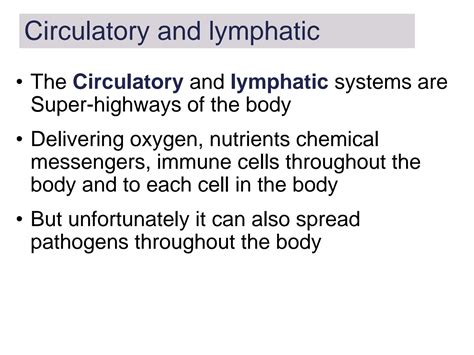 SOLUTION: Ch 25 circulatory lymphatic system powerpoints - Studypool