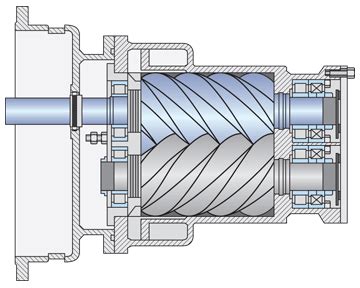 Rotary Screw Compressor Definition Types Working Diagram