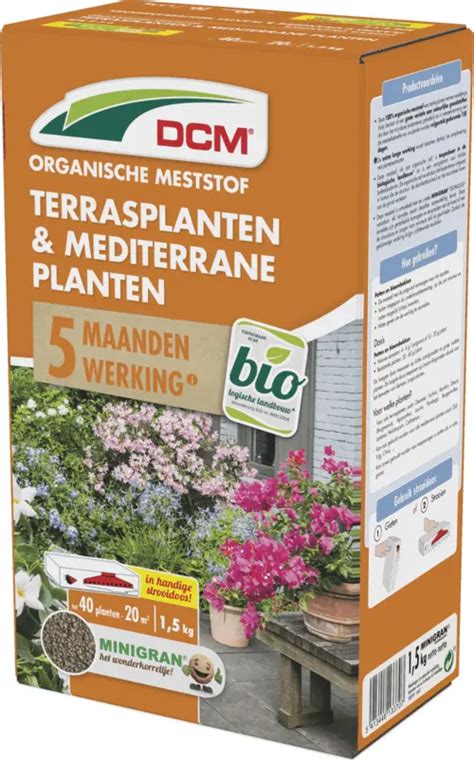 Dcm Meststof Terrasplanten Mediterrane Planten Kg Hendriks