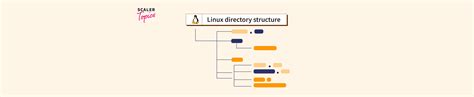 Linux Directory Structure Scaler Topics