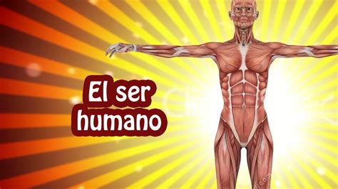 Curiosidades Sobre El Cuerpo Humano Que No Sabias Youtu Nbkomputer