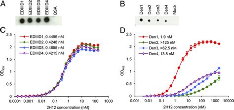 Binding Properties Of Mab H Dot Blots Against Recombinant Ediii