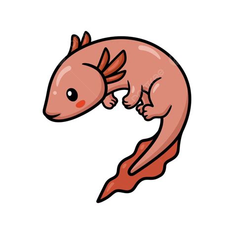 Cute Axolotl Vector PNG Vector PSD And Clipart With Transparent