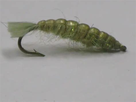 Crane Fly Larvae – Troutster.com – Fly Fishing Tips and Tactics