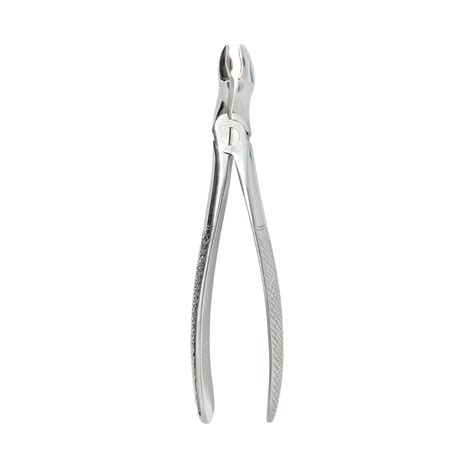 Surgery Selections Extraction Forceps Upper Wisdoms Ins Ss