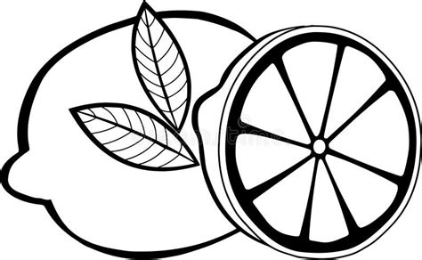 Fruits Clipart Black Outline Lemon With Leaf Clipart Classroom Clipart