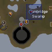 Lumbridge Swamp Caves | RuneScape Wiki | FANDOM powered by Wikia