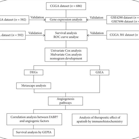 Workflow Abbreviations Cgga Chinese Glioma Genome Atlas Tcga The