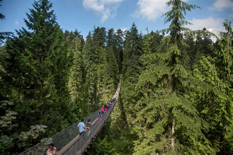 Vancouver’s Capilano Suspension Bridge Park – A Treetop Adventure — No ...