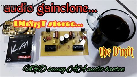 Audio Gainclone Lm1875 Stereo YouTube