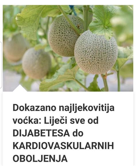 Dokazano Najljekovitija Vo Ka Lije I Sve Od Dijabetesa Do