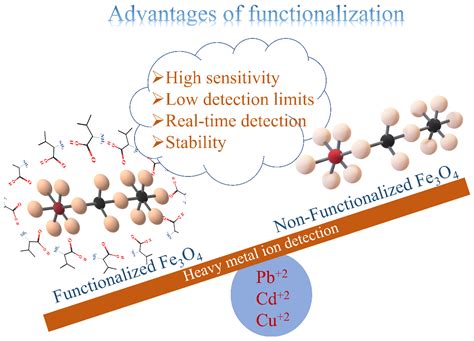 Sensors Free Full Text Tuning The Surface Functionality Of Fe3o4