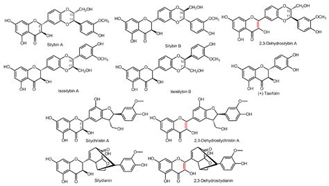 Biotransformation Of Silymarin Flavonolignans By Human Fecal Microbiota