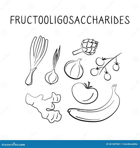 Prebiotics Containing Food Groups Of Healthy Products Containing