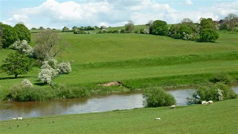 Shropshire Pasture By The River Severn © Roger Kidd Cc By Sa20