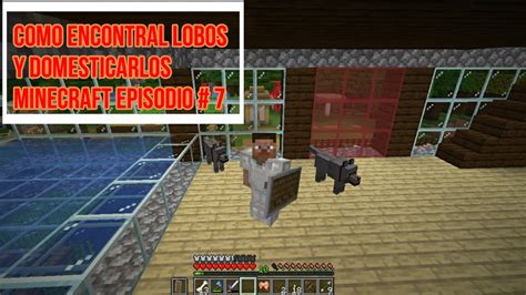 Introducir Imagen Donde Encontrar Lobos En Minecraft Abzlocal Mx