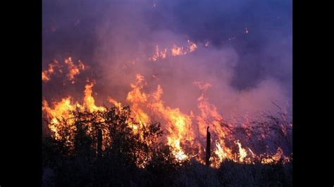 Incendios Forestales Destruyen 160 Hectáreas De Pastizales En Abancay