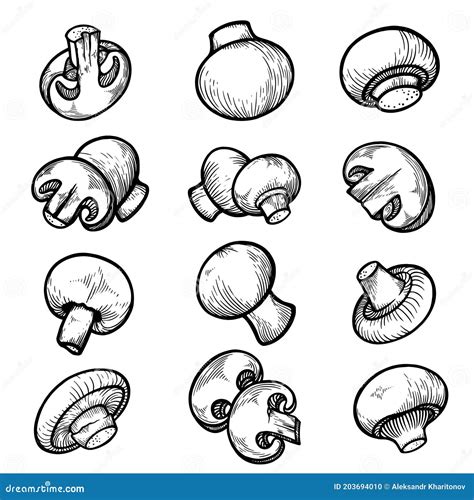 Champignon Assortment In Different Positions Sketch Set Mushrooms