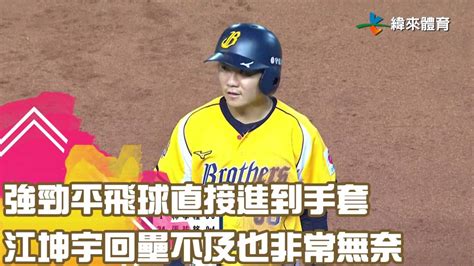 強勁平飛球直接進到手套 江坤宇回壘不及也非常無奈｜【中職即時戰況 例行賽】味全龍 Vs 中信兄弟｜ 20230812 緯來體育新聞