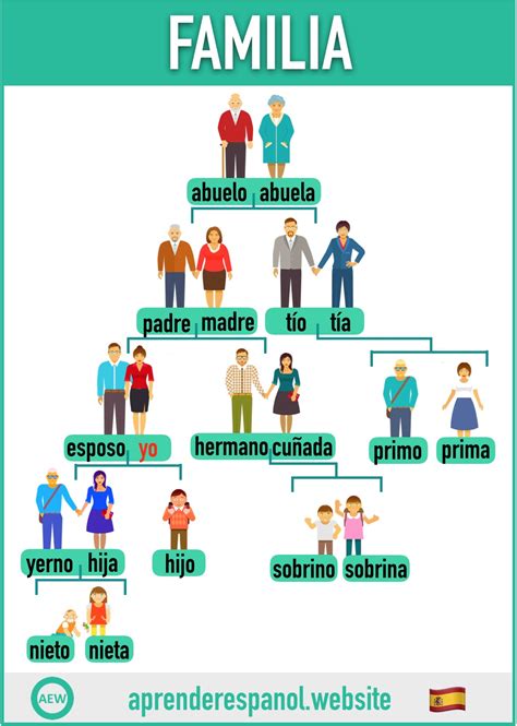 Membro Da Família Em Espanhol Bruniv