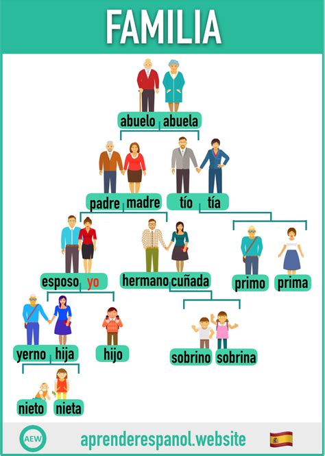 La familia en español vocabulario y ejercicios Aprender español