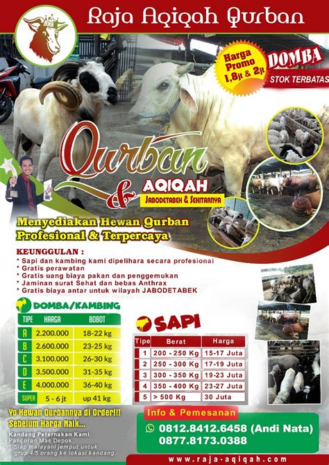 Contoh Brosur Tabungan Qurban Beinyu