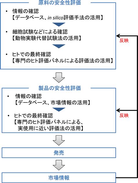 安全性 研究の強み 研究開発 株式会社コーセー 企業情報サイト