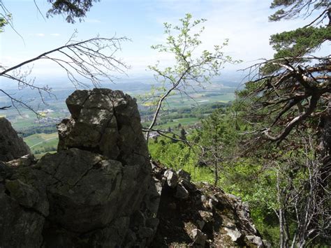 Blick Ins Mittelland Fotos Hikr Org