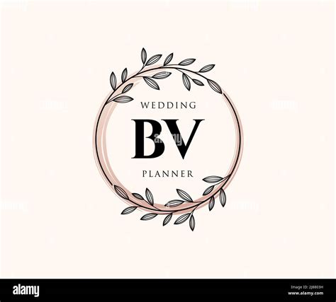 Bv Initials Letra Boda Monograma Colecci N De Logotipos Mano Dibujado