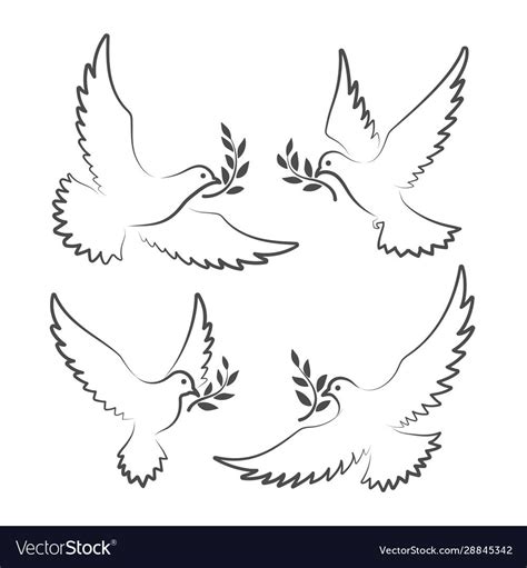 Dove Signs White Doves With Olive Branch Symbols Pigeon Of Peace