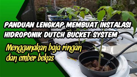 Panduan Lengkap Membuat Instalasi Hidroponik Dutch Bucket System