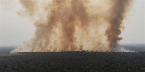 Fuma A De Queimadas Na Amaz Nia E Pantanal Chegam Ao Sul E Sudeste